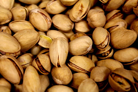 focus photography of nuts, pistachio, mix fruit, beans, green HD wallpaper