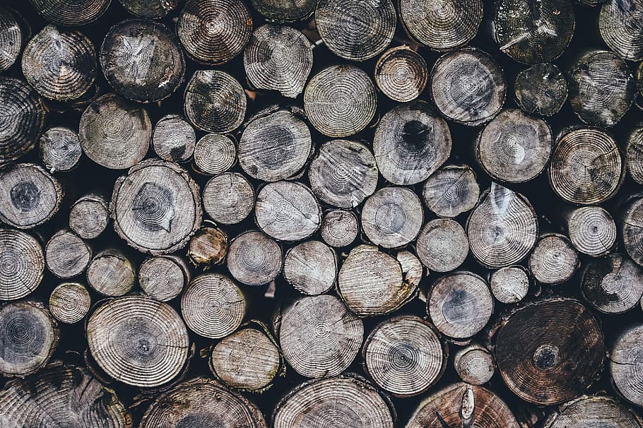 closeup photography of pile of logs, pattern, wood, timber HD wallpaper
