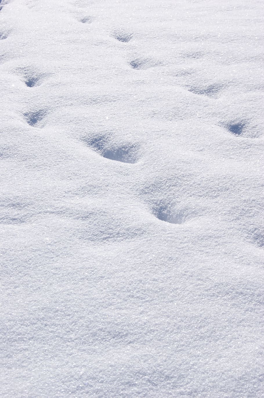 Snow, Traces, White, Footprints, Wintry, winter, backgrounds, HD wallpaper