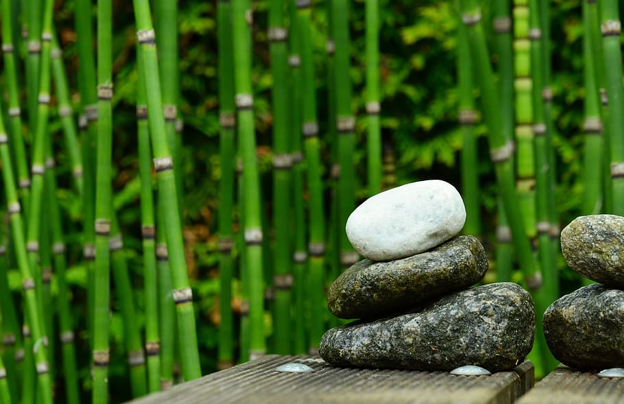 gray and white stones piled, bamboo, decoration, garden, water