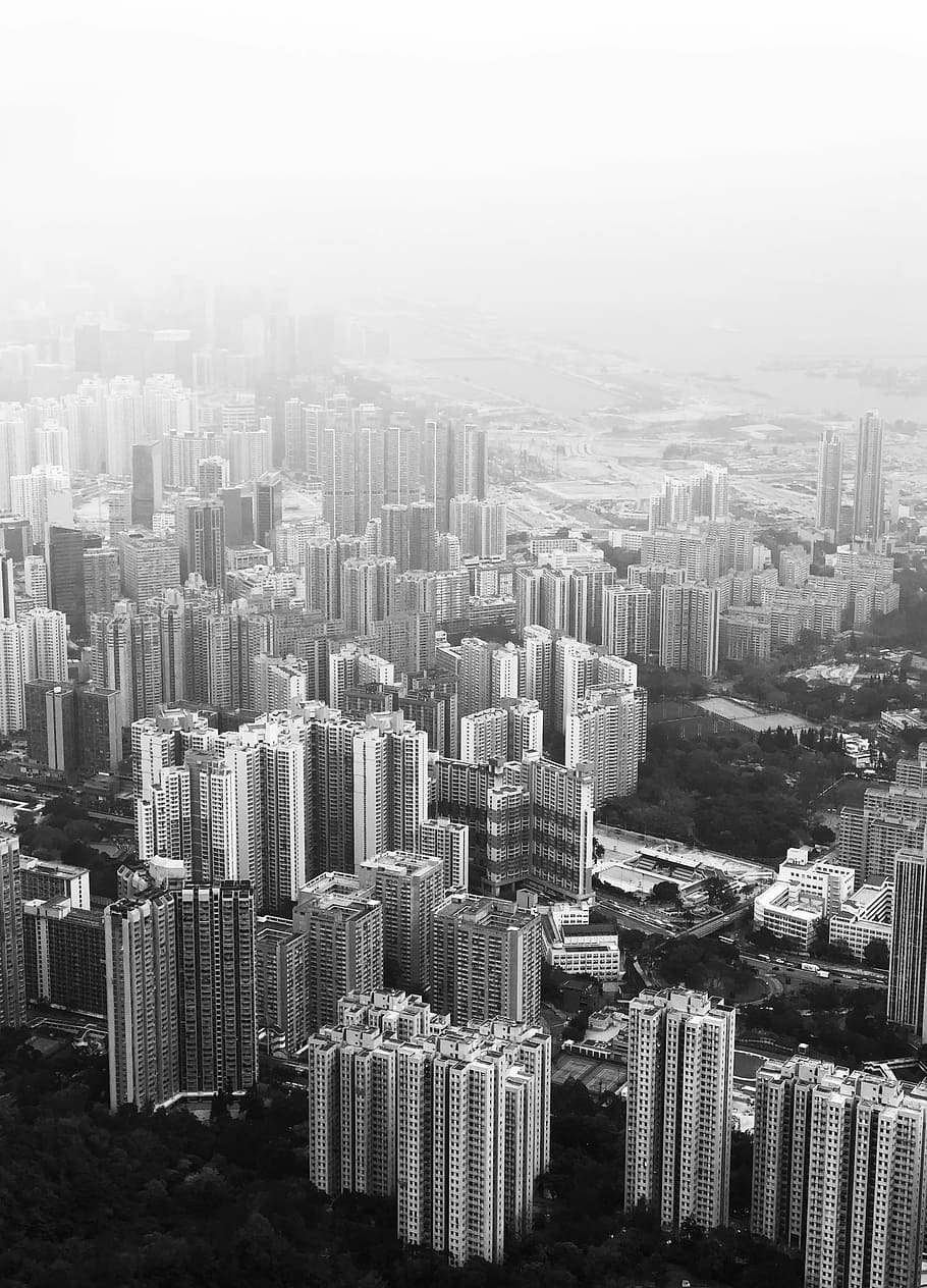 aerial photography of city, grayscale and aerial view photography of city buildings HD wallpaper