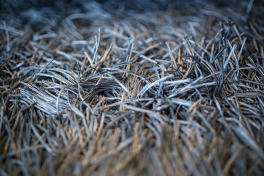 Carpet with fringe, fringes, selective focus, close-up, no people HD wallpaper