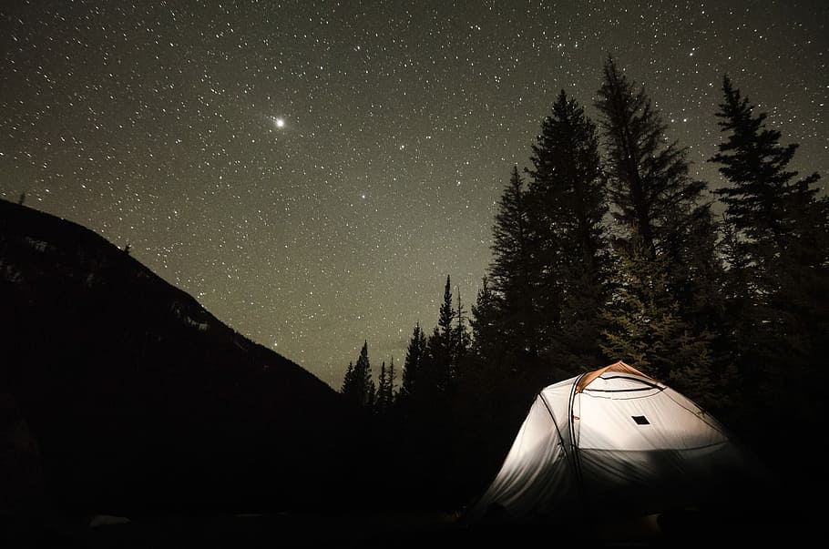 tent at the field near trees during night, white tent during nighttime HD wallpaper