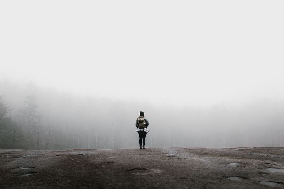 fog, back, beanie, adventure, forest, mountain, clouds, nature HD wallpaper