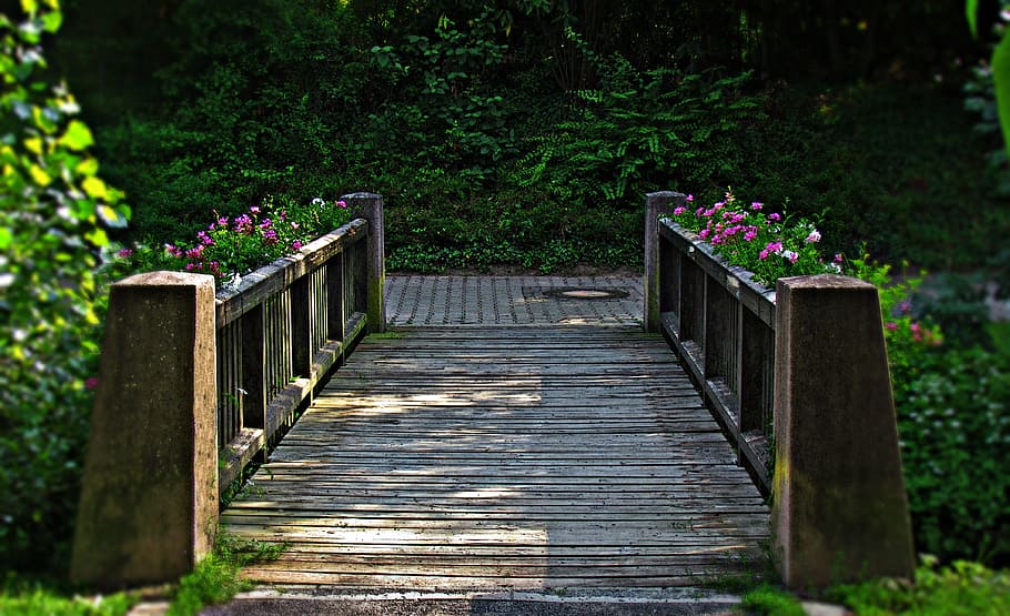 brown wooden garden bridge, building, river, footbridge, plant