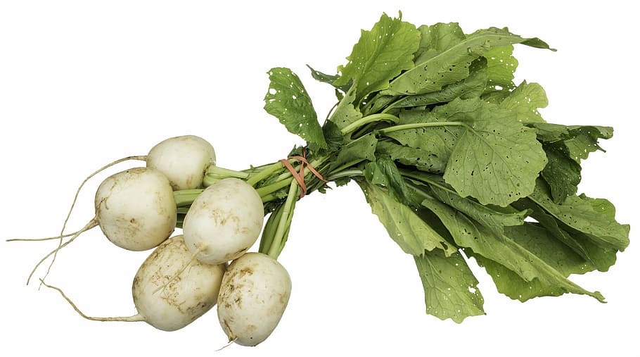 bundle of radish vegetables, vitamins, diet, food, eat, cooking HD wallpaper