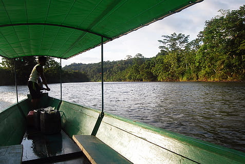 man riding boat, amazon, canoe, river, sunset, water, barca HD wallpaper