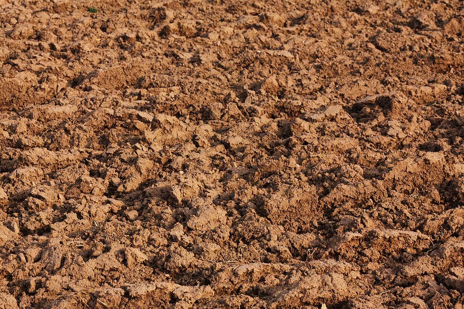 photo of brown soil at daytime, abstract, agriculture, background