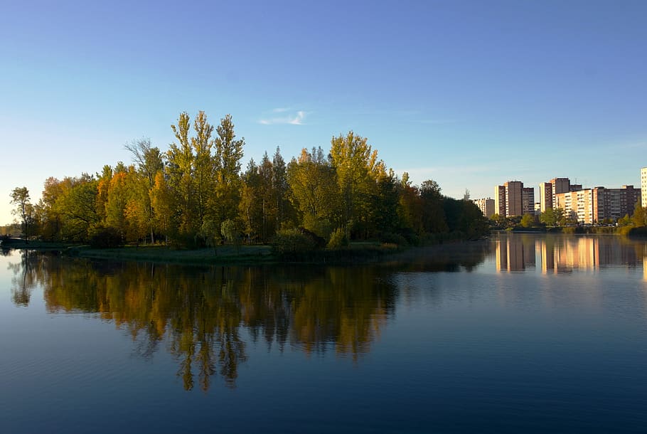 morning, lake, reflection, water, tree, sky, plant, waterfront HD wallpaper