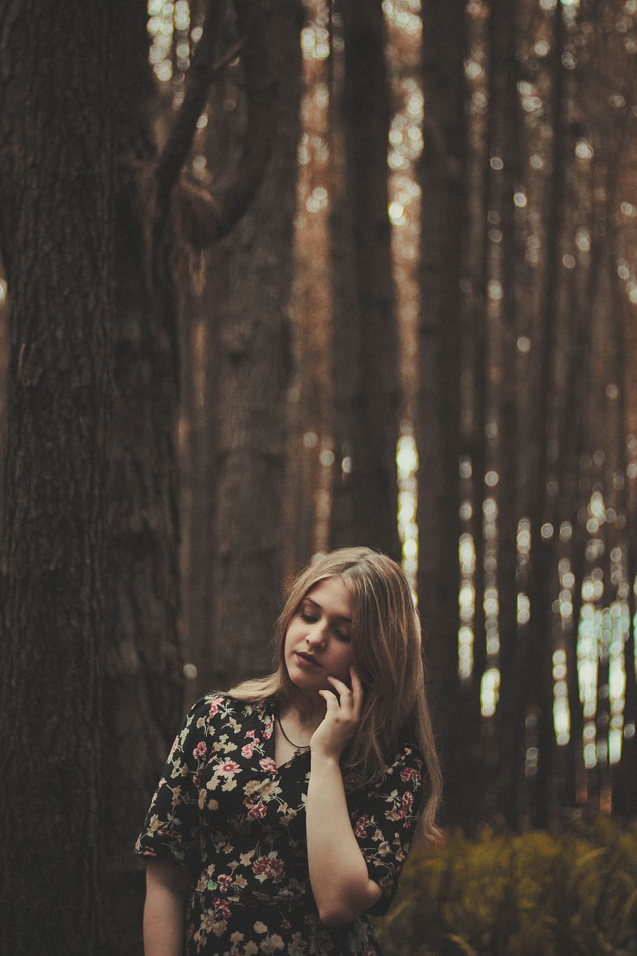 Woman Sitting among Trees and Posing · Free Stock Photo
