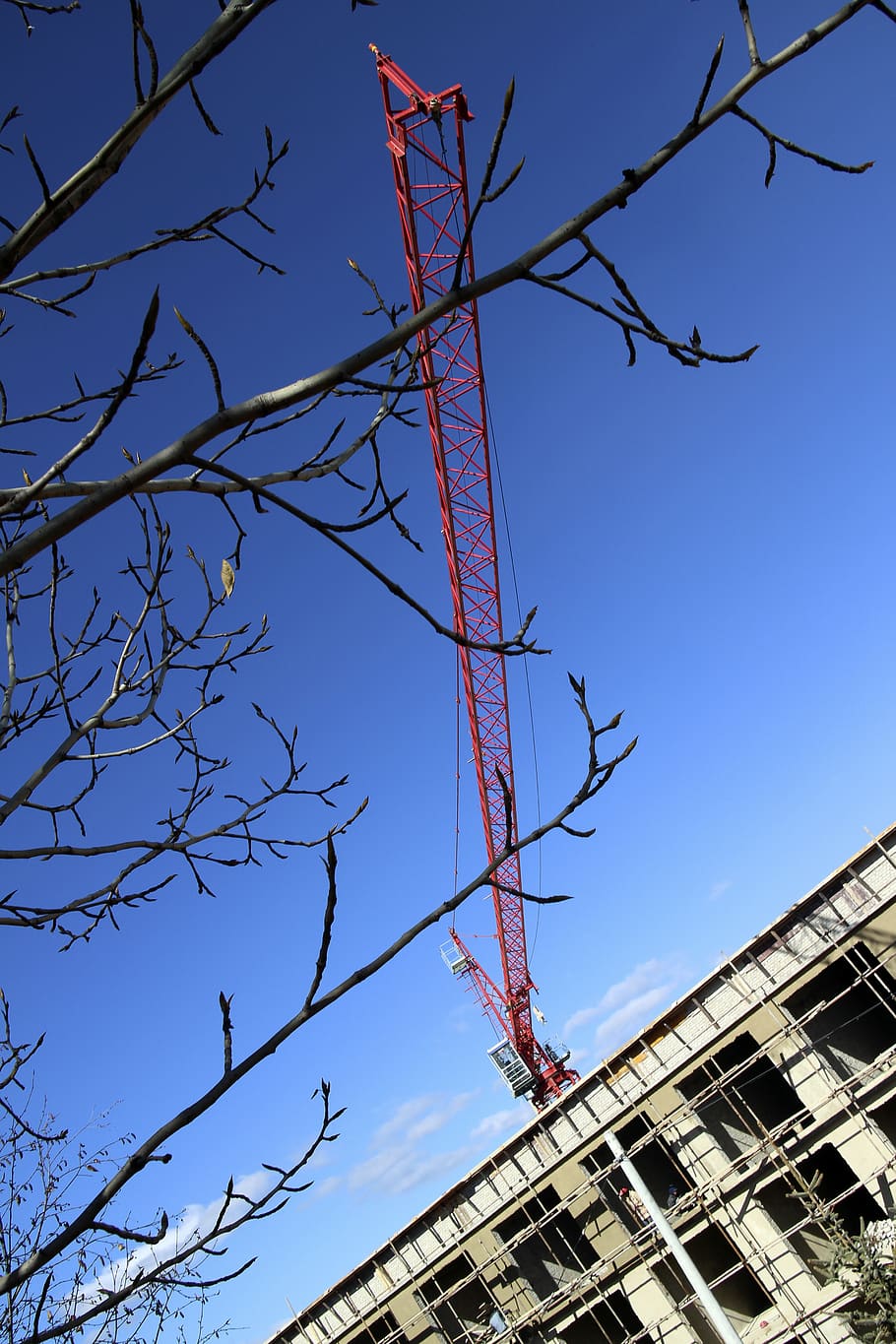 bulding, sky, tree, low angle view, architecture, bare tree HD wallpaper