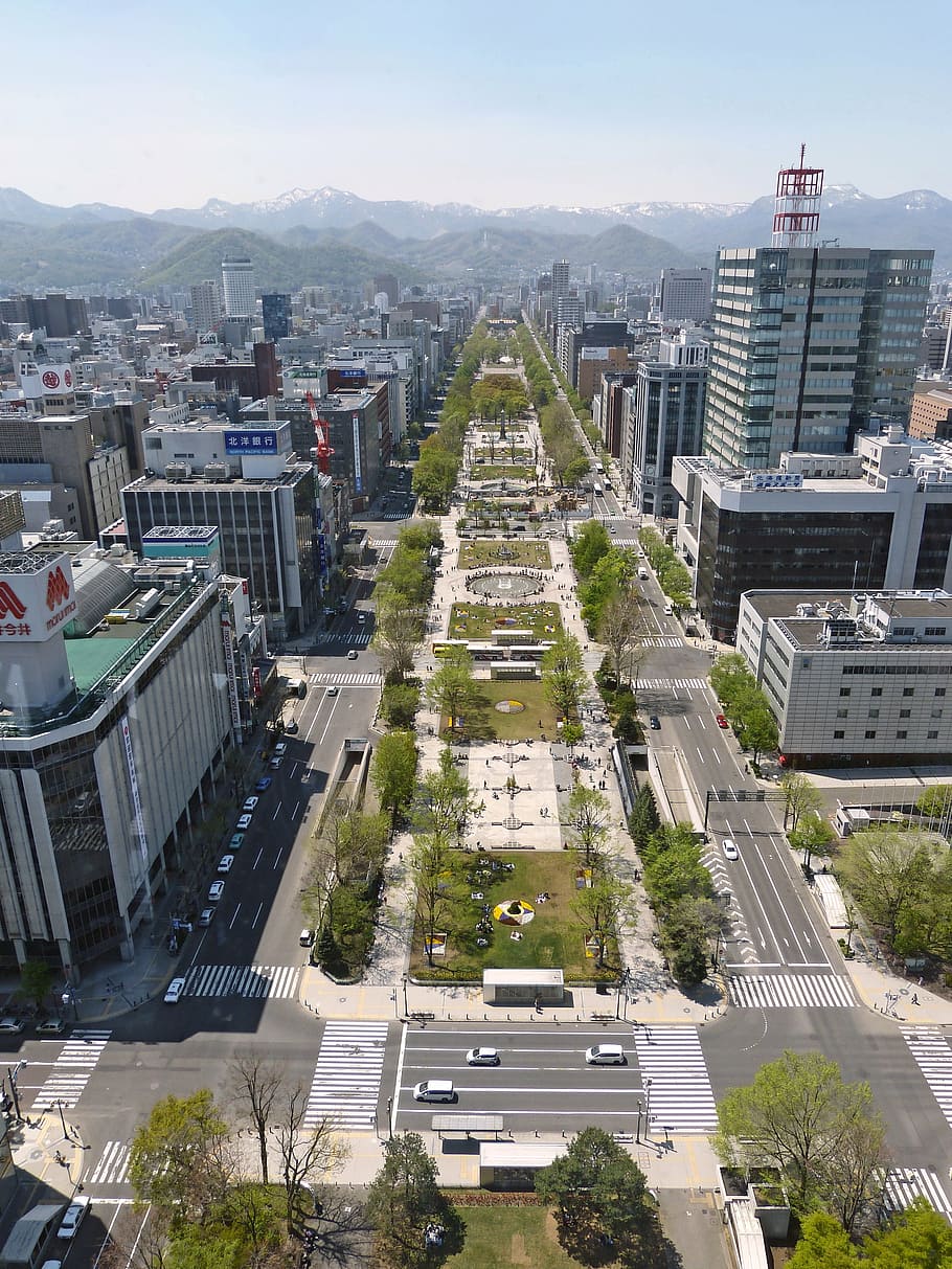 aerial view of city scape, japan, sapporo, urban, architecture