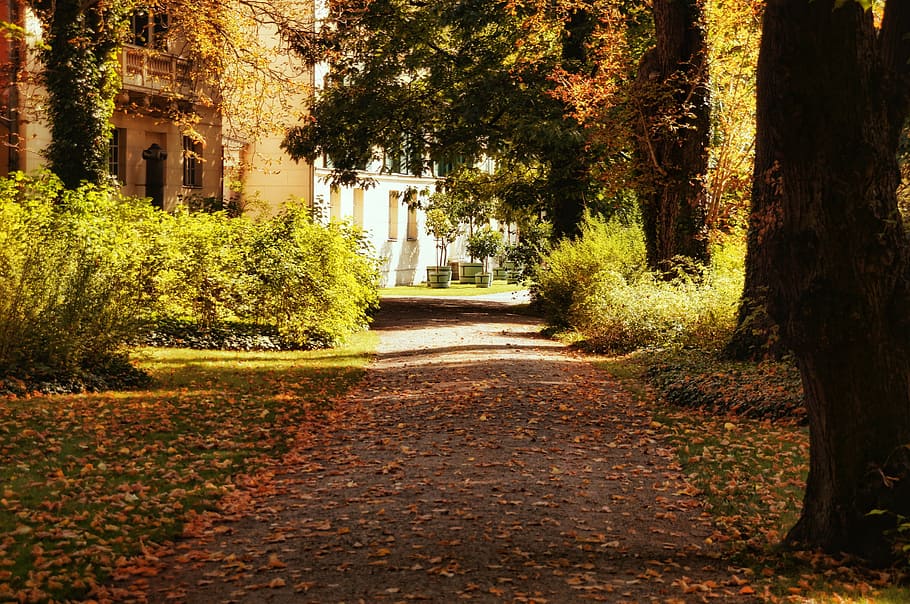 brown pathway surrounded by trees, park, away, garden, castle park glienecke HD wallpaper