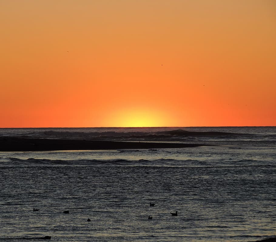 sunset, orange, coast, oregon, landscape, yellow, horizon, beach HD wallpaper
