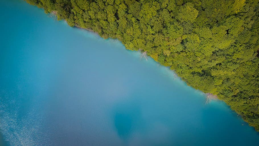 aerial photography of green trees near body of water, aerial shot of green island HD wallpaper