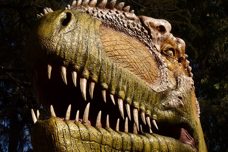 dinosaur face, teeth, head, prehistoric, eye, art and craft HD wallpaper