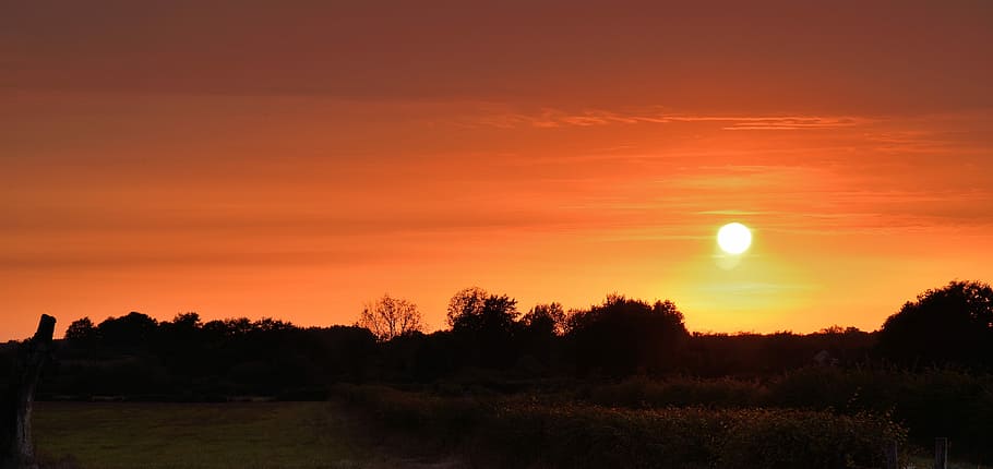 sky, sunset, twilight, colors, tree, plant, landscape, tranquility HD wallpaper