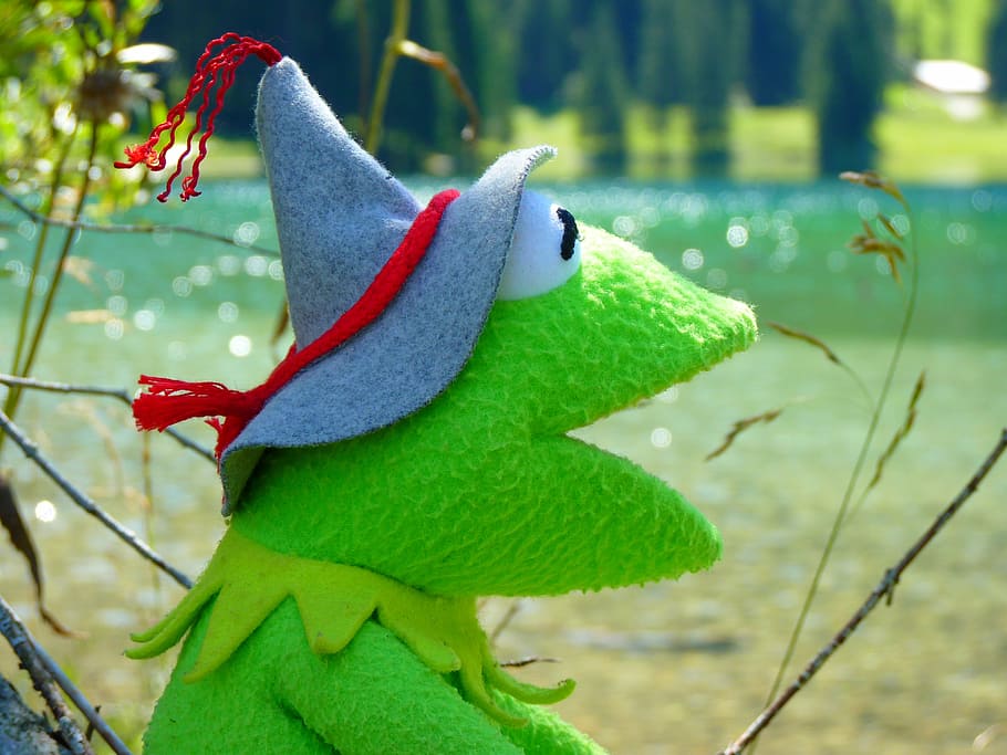 Kermit the Frog photography, doll, figure, green, tyrolean hat HD wallpaper
