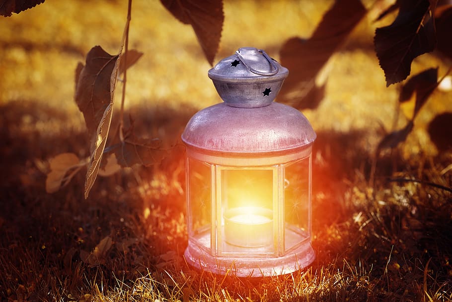 photo of gray candle lantern on green grasses, light, lamp HD wallpaper