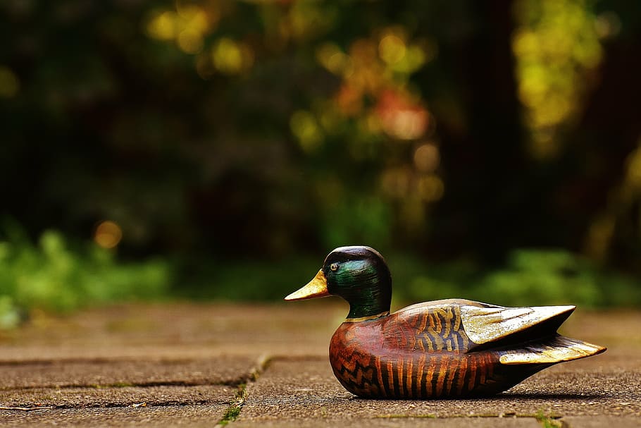 duck, deco, figure, cute, sweet, wood, animal, colorful, animal themes HD wallpaper
