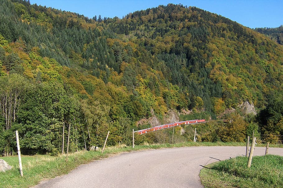 Germany, Landscape, Road, Forest, Trees, woods, black forest HD wallpaper