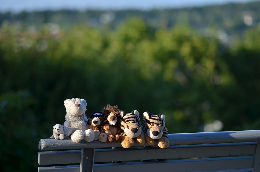 stuff, toy, display, exterior, blur, nature, focus on foreground HD wallpaper