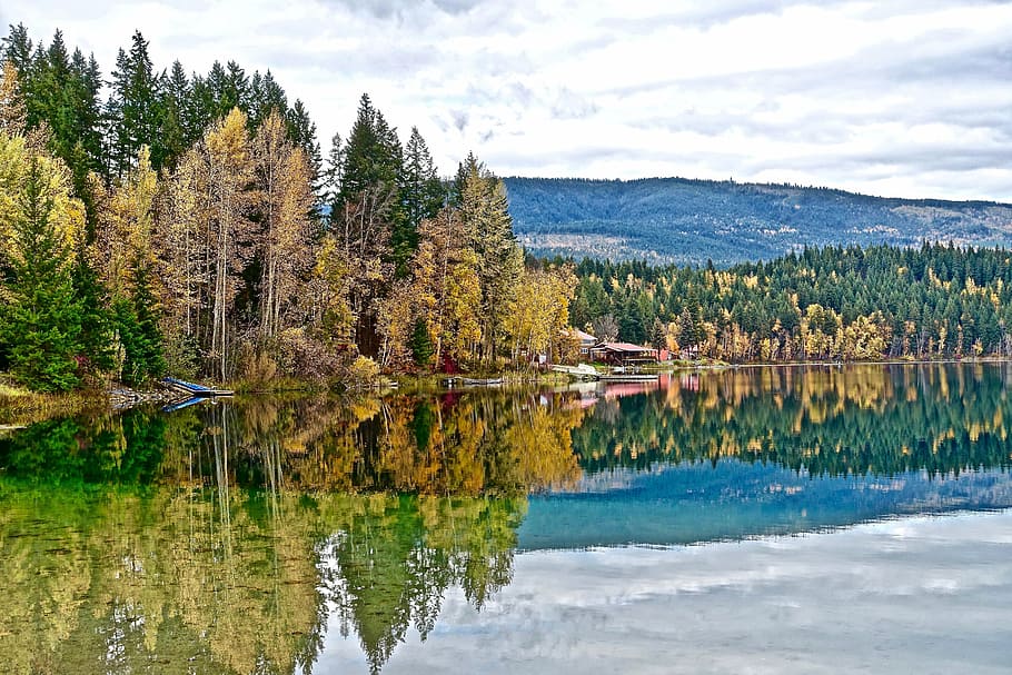 tranquil, autumn, reflection, lake, trees, scenic, landscape HD wallpaper