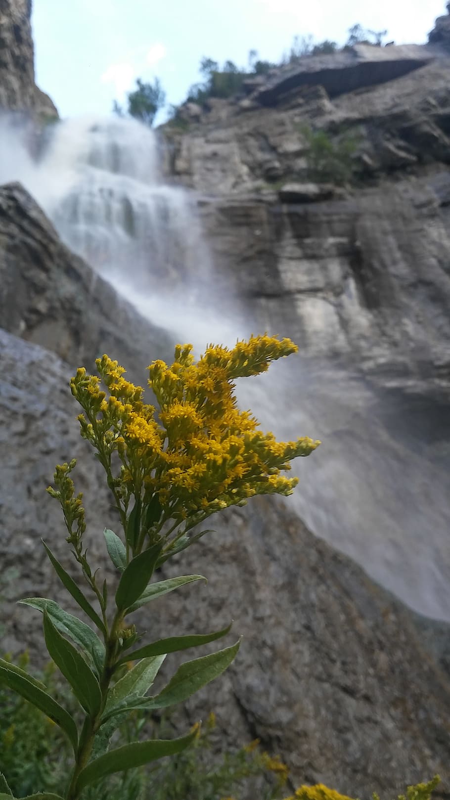 waterfall, nature, landscape, plant, beauty in nature, day HD wallpaper
