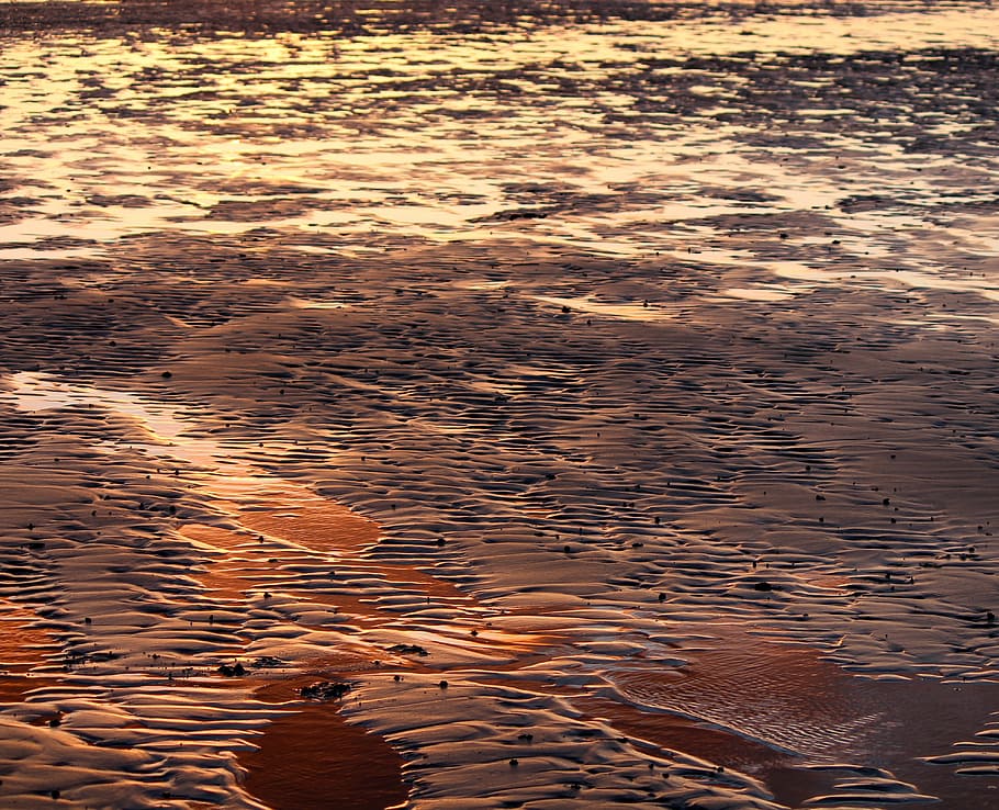 beach, sunset, sea, ocean, sand, water, nature, coast, beach sunset HD wallpaper