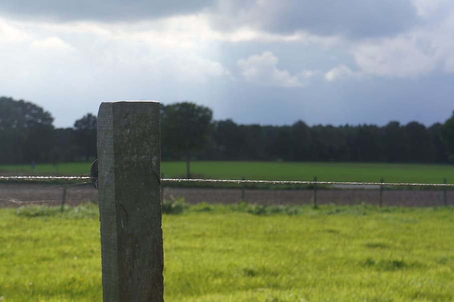 fence post, land, focus, panorama, cobwebs, grass, plant, field HD wallpaper