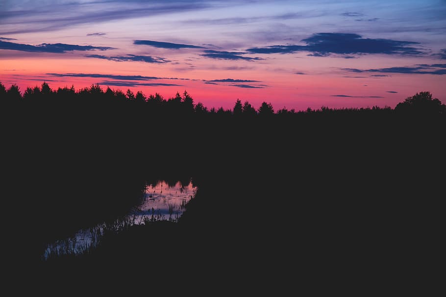 photo of trees during night time, silhouette photo of trees near body of water HD wallpaper