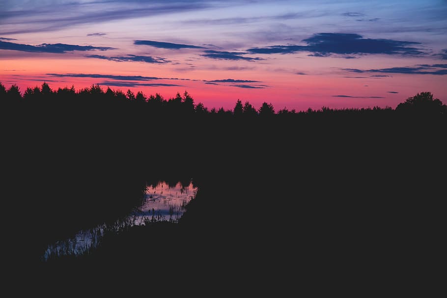 silhouette of forest, trees, nightime, nature, landscape, lake HD wallpaper