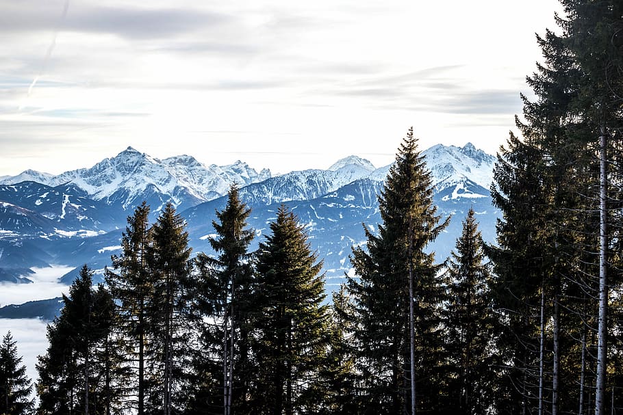 Austrian mountains, landscape photography of mountain ranges and trees, HD wallpaper