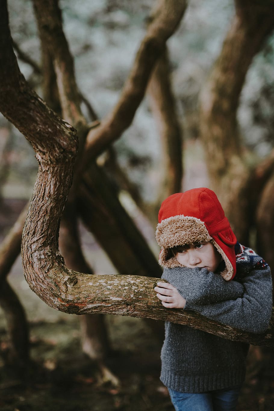 Bored / thoughtful child, child leaning on brown tree branch HD wallpaper