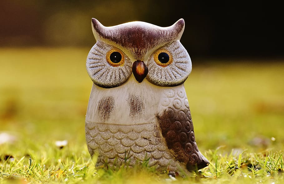 owl, bird, funny, meadow, ceramic, animal, cute, deco, figure HD wallpaper