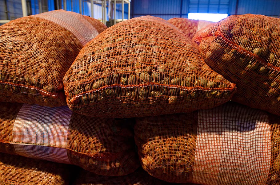 Pecans, Nuts, Bags, Bagged, ready for shipment, stacked, business HD wallpaper