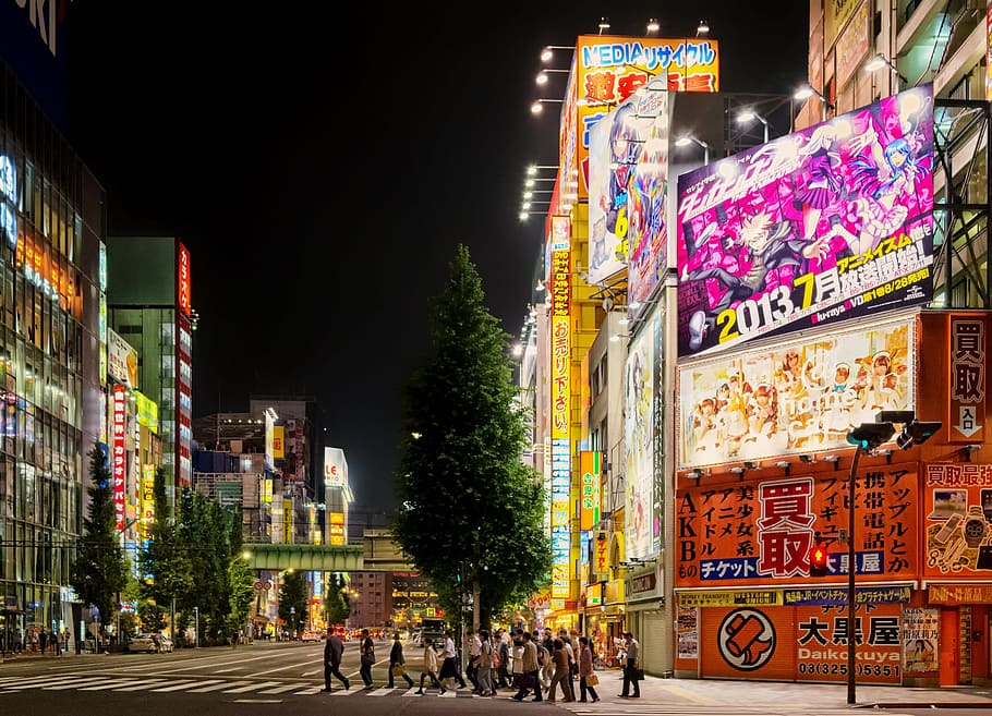 people near tree and billboards, Tokyo, Japan, Japan street, night