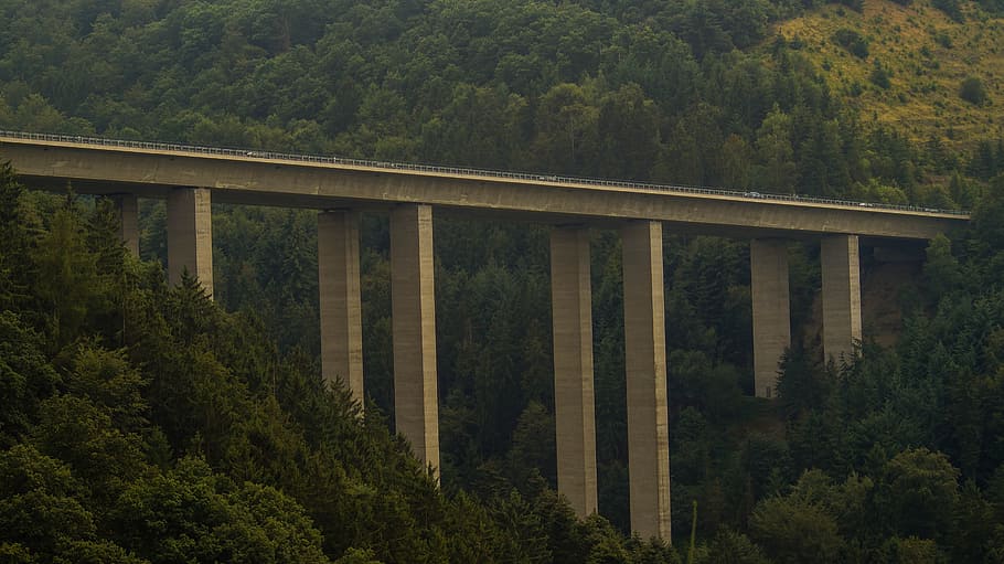 bridge, forest, scenic, highway, tree, plant, built structure HD wallpaper
