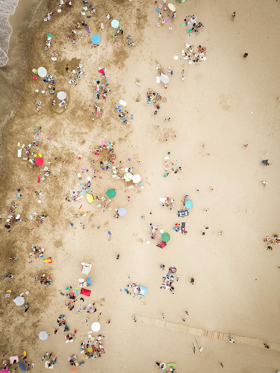 aerial photography of people on beach, bird's eye photography of people sunbathing seashore HD wallpaper