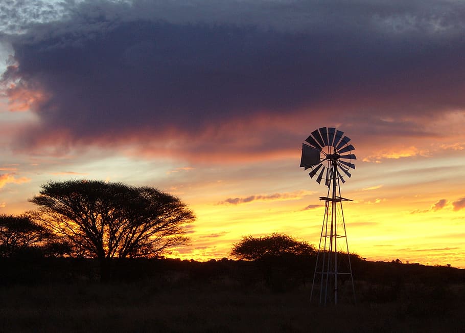 Sunset, Wind Mill, Africa, Farm, acacia trees, south africa, HD wallpaper