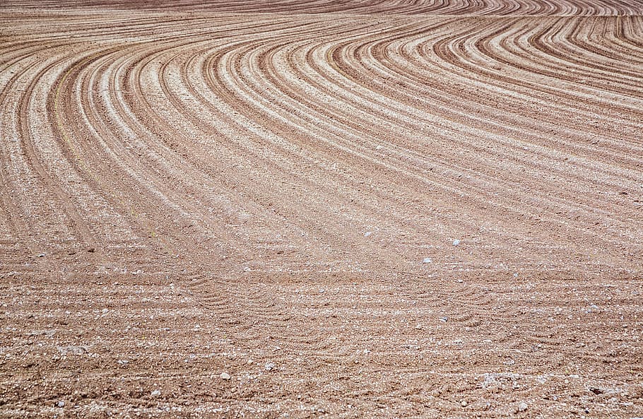 field, arable, sand, traces, plow, sow, earth, nature, landscape, HD wallpaper