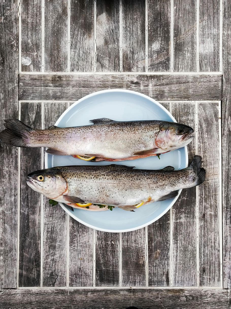 two edible fishes on top of white plate, trout, orange, table HD wallpaper