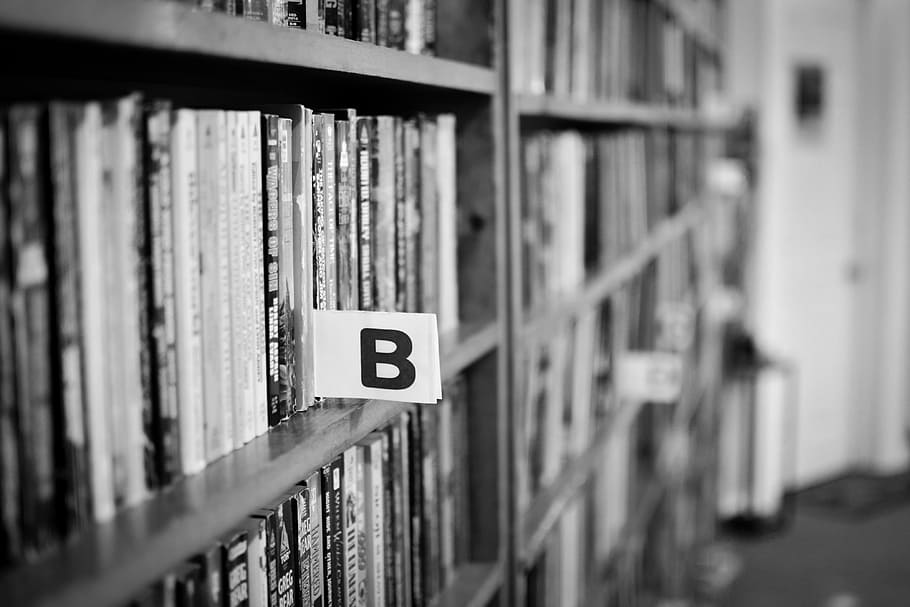 grascale photo of book shelves, library, books, reading, school HD wallpaper