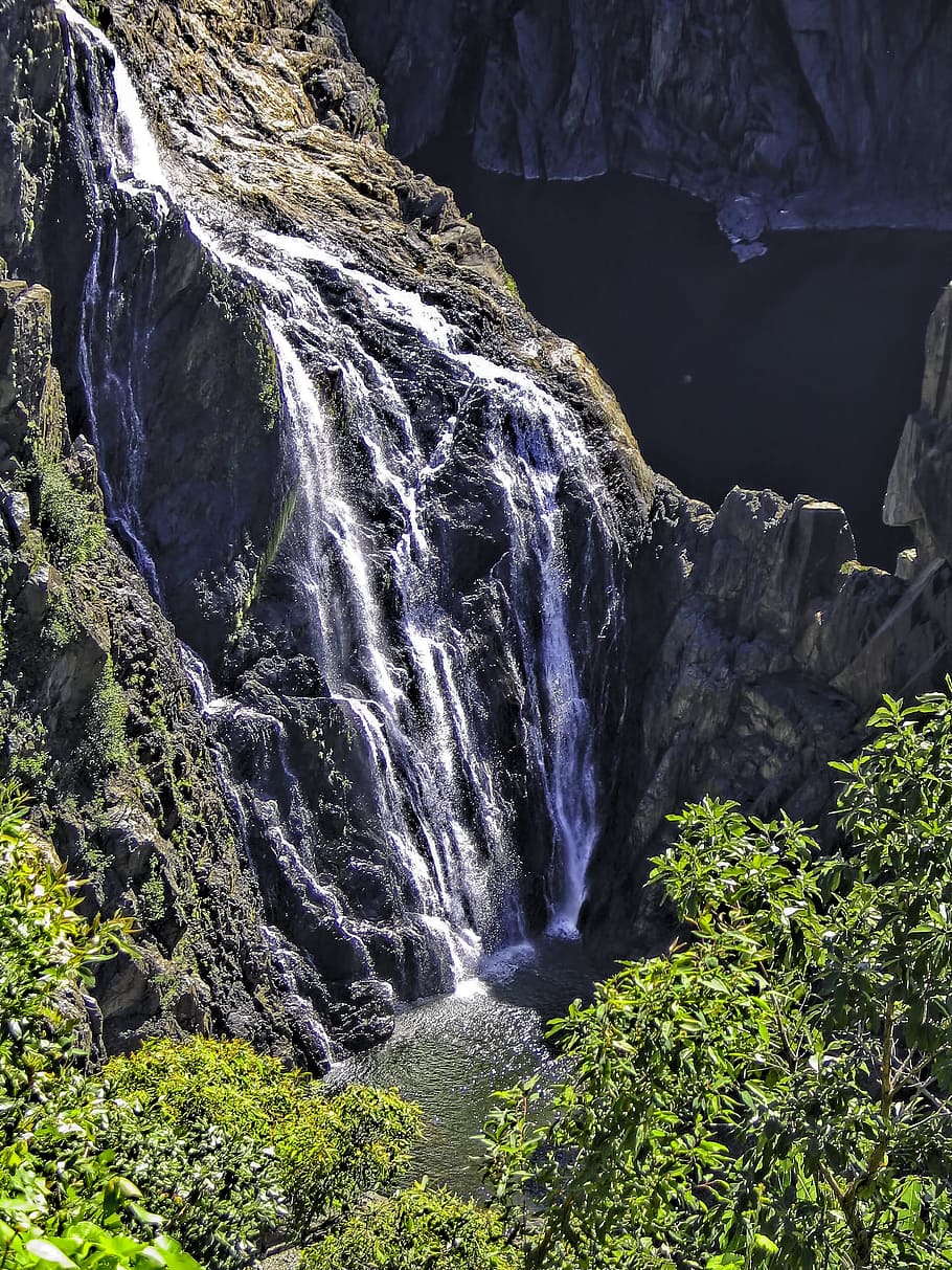 barron falls, barron river, north queensland, tropical rain forest