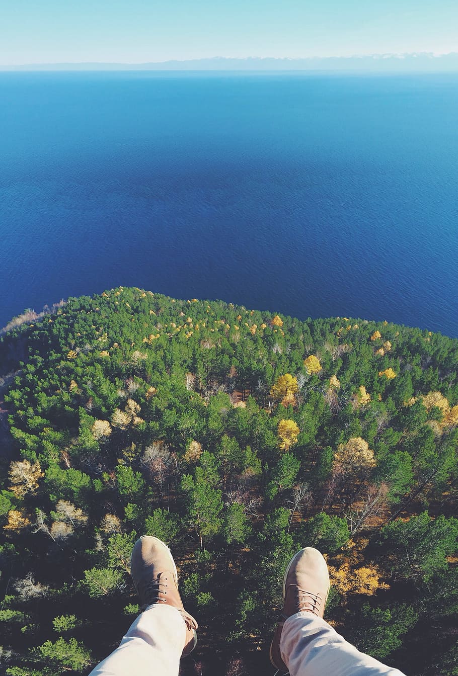 person sitting on top of green trees during daytime, aerial photography of forest near body of water HD wallpaper