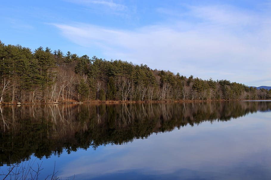 clouds, forest, lake, nature, reflection, river, sky, trees HD wallpaper
