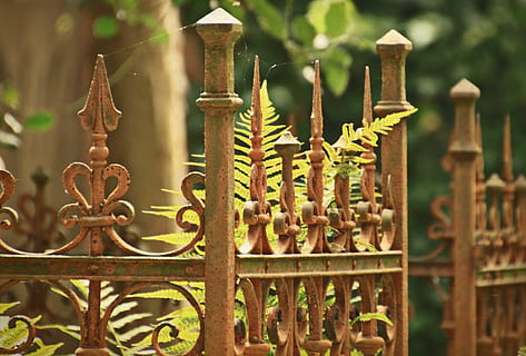 cemetery-tomb-grave-fence-thumbnail.jpg