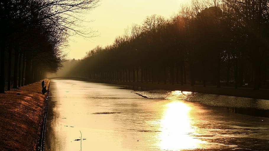 sky, sun, water, sunset, tree, rays, evening sky, perspective HD wallpaper