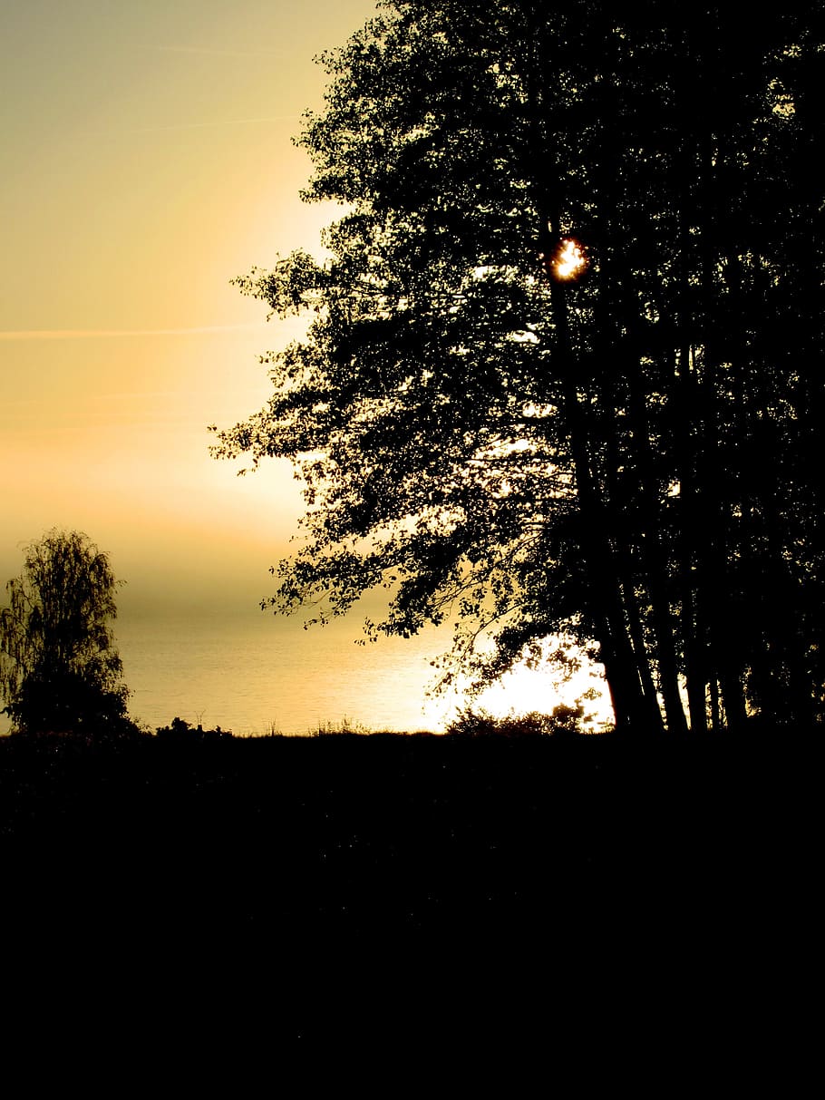 sunset, autumn mist, light, darkness, essential, magic, golden HD wallpaper