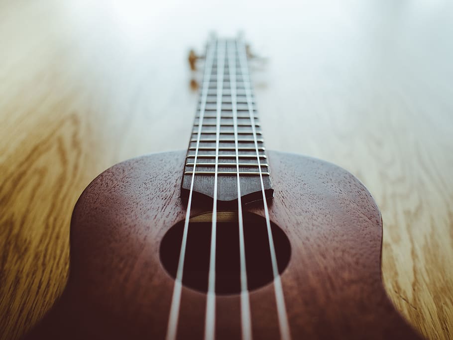 close-up photo of brown and black guitar, ukulele, music, instrument, HD wallpaper